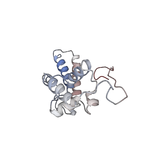 2938_4ug0_SN_v1-3
STRUCTURE OF THE HUMAN 80S RIBOSOME