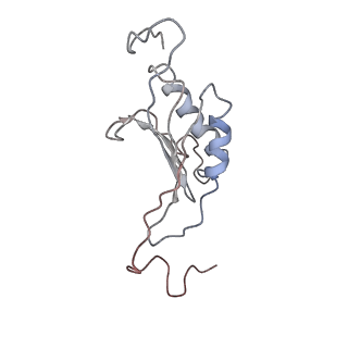 2938_4ug0_SO_v1-3
STRUCTURE OF THE HUMAN 80S RIBOSOME