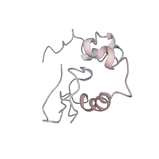 2938_4ug0_SP_v1-3
STRUCTURE OF THE HUMAN 80S RIBOSOME