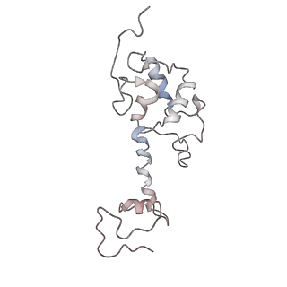 2938_4ug0_SS_v1-3
STRUCTURE OF THE HUMAN 80S RIBOSOME
