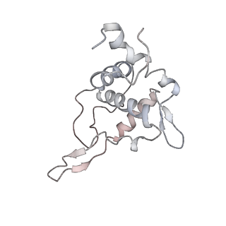 2938_4ug0_ST_v1-3
STRUCTURE OF THE HUMAN 80S RIBOSOME