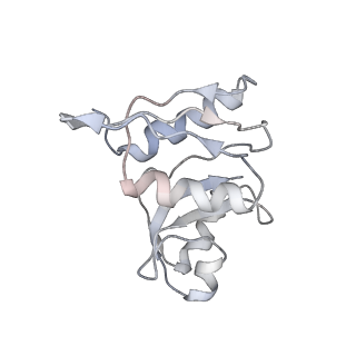 2938_4ug0_SW_v1-3
STRUCTURE OF THE HUMAN 80S RIBOSOME