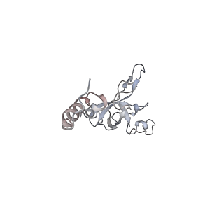 2938_4ug0_SX_v1-3
STRUCTURE OF THE HUMAN 80S RIBOSOME