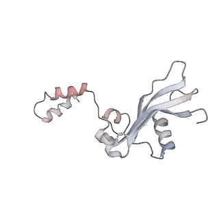 2938_4ug0_SY_v1-3
STRUCTURE OF THE HUMAN 80S RIBOSOME