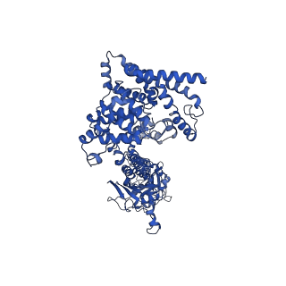 42220_8ugb_A_v1-0
Cryo-EM structure of bovine phosphodiesterase 6 bound to udenafil