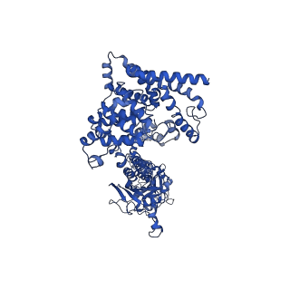 42220_8ugb_A_v1-1
Cryo-EM structure of bovine phosphodiesterase 6 bound to udenafil