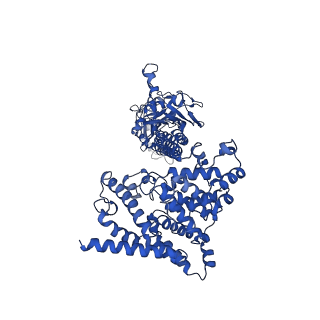 42220_8ugb_B_v1-0
Cryo-EM structure of bovine phosphodiesterase 6 bound to udenafil