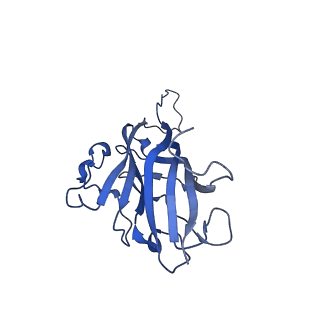 42232_8ugq_A_v1-0
CryoEM Structure of Maize Streak Virus (MSV) - Geminivirus