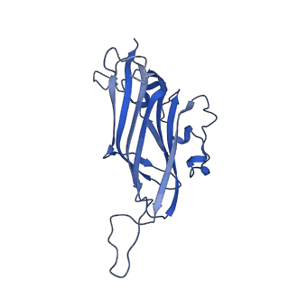 42232_8ugq_B_v1-0
CryoEM Structure of Maize Streak Virus (MSV) - Geminivirus