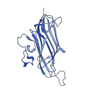 42232_8ugq_I_v1-0
CryoEM Structure of Maize Streak Virus (MSV) - Geminivirus