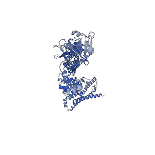 42234_8ugs_A_v1-0
Cryo-EM structure of bovine phosphodiesterase 6 bound to cGMP