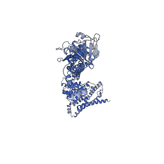 42234_8ugs_A_v1-1
Cryo-EM structure of bovine phosphodiesterase 6 bound to cGMP