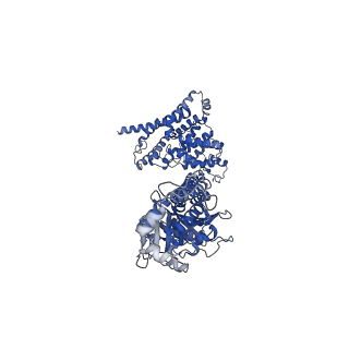 42234_8ugs_B_v1-0
Cryo-EM structure of bovine phosphodiesterase 6 bound to cGMP