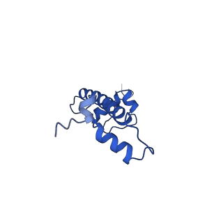 20767_6uh5_C_v1-2
Structural basis of COMPASS eCM recognition of the H2Bub nucleosome