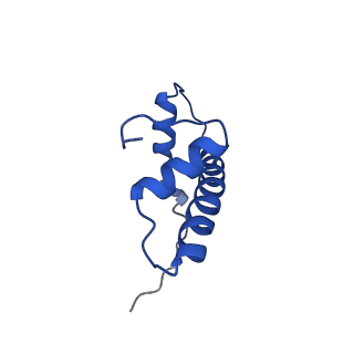 20767_6uh5_F_v1-2
Structural basis of COMPASS eCM recognition of the H2Bub nucleosome