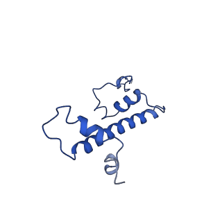 20767_6uh5_G_v1-2
Structural basis of COMPASS eCM recognition of the H2Bub nucleosome