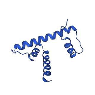 20767_6uh5_H_v1-2
Structural basis of COMPASS eCM recognition of the H2Bub nucleosome