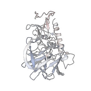 20767_6uh5_L_v1-2
Structural basis of COMPASS eCM recognition of the H2Bub nucleosome