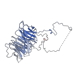 20767_6uh5_N_v1-2
Structural basis of COMPASS eCM recognition of the H2Bub nucleosome
