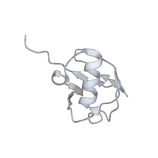 20767_6uh5_Q_v1-2
Structural basis of COMPASS eCM recognition of the H2Bub nucleosome