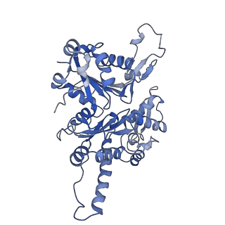 20770_6uhc_A_v1-0
CryoEM structure of human Arp2/3 complex with bound NPFs