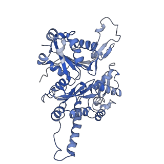 20770_6uhc_A_v1-1
CryoEM structure of human Arp2/3 complex with bound NPFs