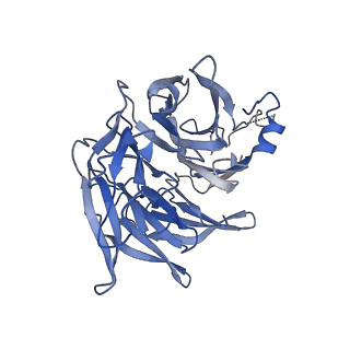20770_6uhc_C_v1-0
CryoEM structure of human Arp2/3 complex with bound NPFs