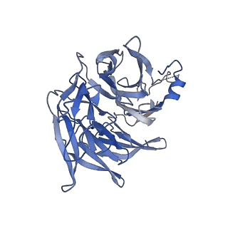 20770_6uhc_C_v1-1
CryoEM structure of human Arp2/3 complex with bound NPFs