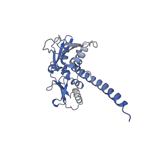 20770_6uhc_D_v1-1
CryoEM structure of human Arp2/3 complex with bound NPFs