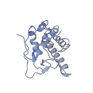 20770_6uhc_E_v1-0
CryoEM structure of human Arp2/3 complex with bound NPFs