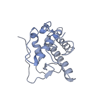 20770_6uhc_E_v1-1
CryoEM structure of human Arp2/3 complex with bound NPFs