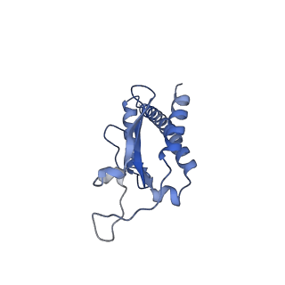 20770_6uhc_F_v1-1
CryoEM structure of human Arp2/3 complex with bound NPFs