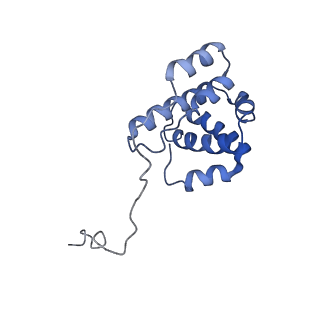20770_6uhc_G_v1-0
CryoEM structure of human Arp2/3 complex with bound NPFs