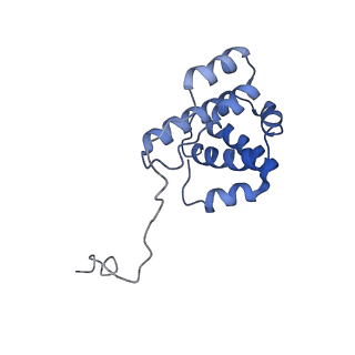 20770_6uhc_G_v1-1
CryoEM structure of human Arp2/3 complex with bound NPFs