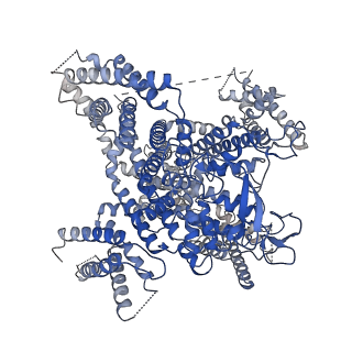 26513_7uhf_A_v1-1
Human L-type voltage-gated calcium channel Cav1.3 in the presence of cinnarizine at 3.1 Angstrom resolution