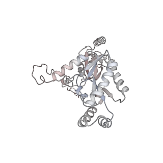 26513_7uhf_C_v1-1
Human L-type voltage-gated calcium channel Cav1.3 in the presence of cinnarizine at 3.1 Angstrom resolution