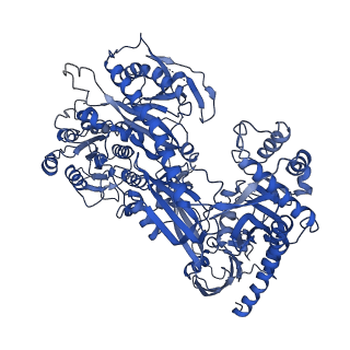 26513_7uhf_D_v1-1
Human L-type voltage-gated calcium channel Cav1.3 in the presence of cinnarizine at 3.1 Angstrom resolution