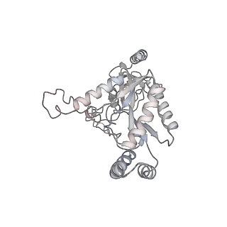 26514_7uhg_C_v1-1
Human L-type voltage-gated calcium channel Cav1.3 at 3.0 Angstrom resolution