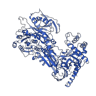26514_7uhg_D_v1-1
Human L-type voltage-gated calcium channel Cav1.3 at 3.0 Angstrom resolution