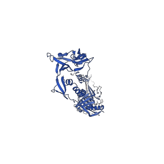 26520_7uhz_A_v1-1
Post-fusion ectodomain of HSV-1 gB in complex with BMPC-23 Fab
