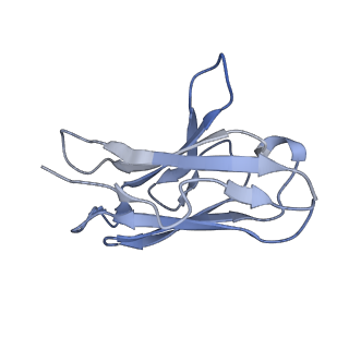 26520_7uhz_L_v1-1
Post-fusion ectodomain of HSV-1 gB in complex with BMPC-23 Fab
