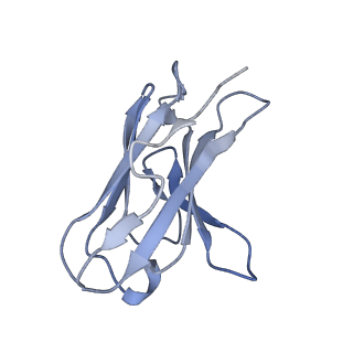 26520_7uhz_M_v1-1
Post-fusion ectodomain of HSV-1 gB in complex with BMPC-23 Fab