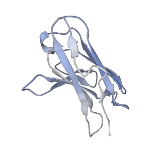 26520_7uhz_N_v1-1
Post-fusion ectodomain of HSV-1 gB in complex with BMPC-23 Fab