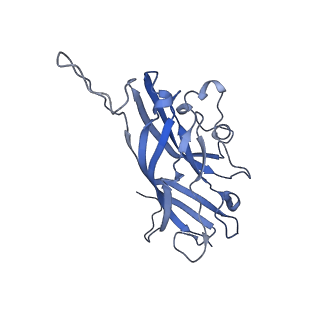 42246_8uh4_1_v1-0
Cryo-EM structure of Maize Streak Virus (MSV) - single head Geminivirus