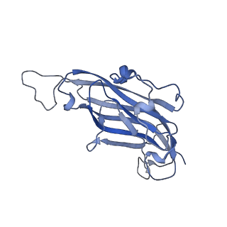42246_8uh4_3_v1-0
Cryo-EM structure of Maize Streak Virus (MSV) - single head Geminivirus