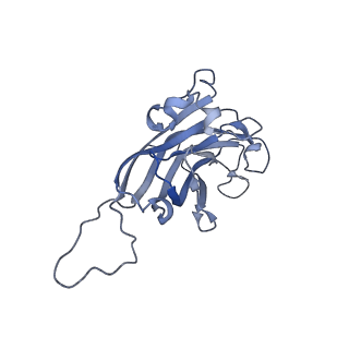 42246_8uh4_6_v1-0
Cryo-EM structure of Maize Streak Virus (MSV) - single head Geminivirus