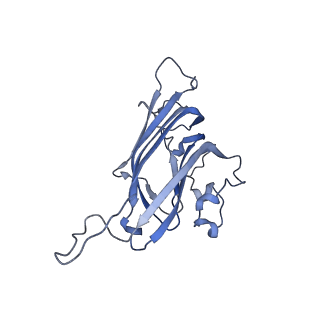 42246_8uh4_7_v1-0
Cryo-EM structure of Maize Streak Virus (MSV) - single head Geminivirus