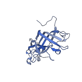 42246_8uh4_A_v1-0
Cryo-EM structure of Maize Streak Virus (MSV) - single head Geminivirus