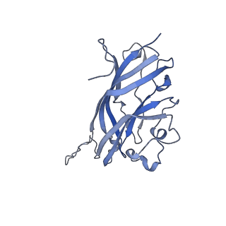 42246_8uh4_B_v1-0
Cryo-EM structure of Maize Streak Virus (MSV) - single head Geminivirus