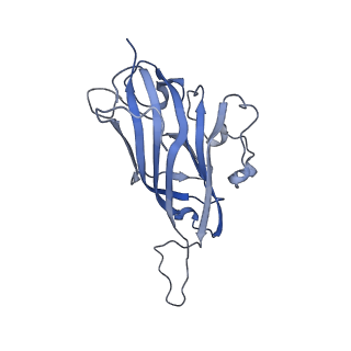 42246_8uh4_C_v1-0
Cryo-EM structure of Maize Streak Virus (MSV) - single head Geminivirus
